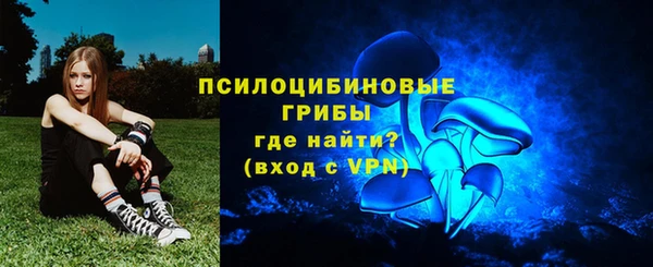 трава Арсеньев